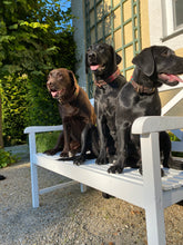 Lade das Bild in den Galerie-Viewer, CHICA – Handgefertigtes Hundehalsband aus argentinischem Leder