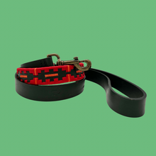 Load image into Gallery viewer, LEASH RECOLETA