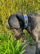 Lade das Bild in den Galerie-Viewer, PEPA - Handgefertigtes Hundehalsband aus argentinischem Leder