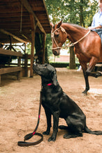 Load image into Gallery viewer, JUJUY - Handmade Argentinean Leather Dog Collar