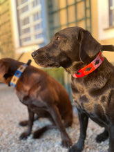Lade das Bild in den Galerie-Viewer, CHICA – Handgefertigtes Hundehalsband aus argentinischem Leder