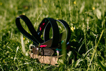 Load image into Gallery viewer, JUJUY - Handmade Argentinean Leather Dog Collar