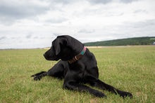 Load image into Gallery viewer, JUJUY - Handmade Argentinean Leather Dog Collar